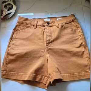 Wonderly Carpenter / Cargo Size 4 Shorts Never Worn